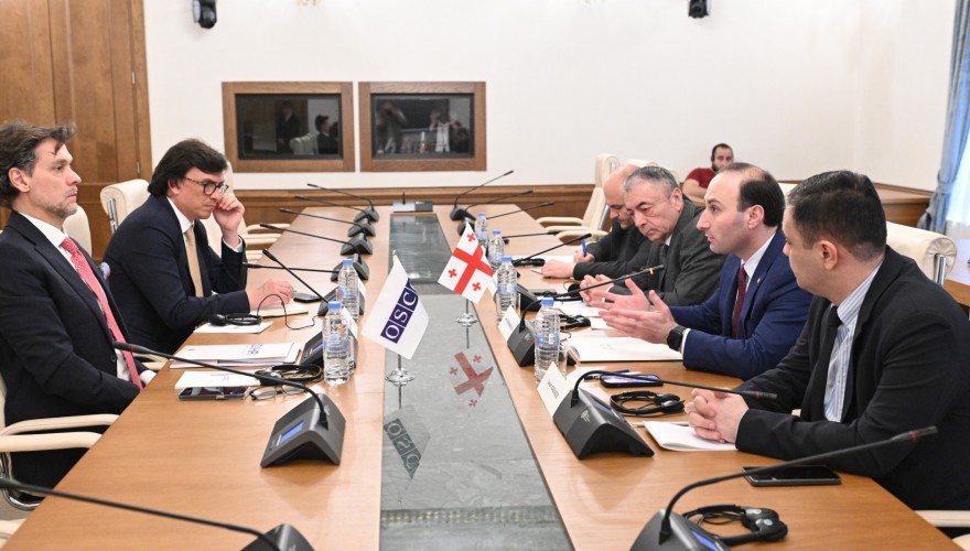 Meeting of Anri Okhanashvili and Tengiz Sharmanashvili with the OSCE/ODIHR Director