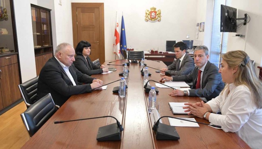Meeting of Paata Kvizhinadze with Newly Appointed Head of IMF