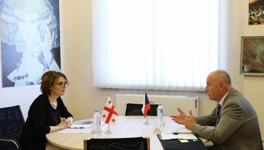 ელისო ბოლქვაძე საქართველოში ჩეხეთის რესპუბლიკის საგანგებო და სრულუფლებიან ელჩს პეტრ კუბერნატს შეხვდა