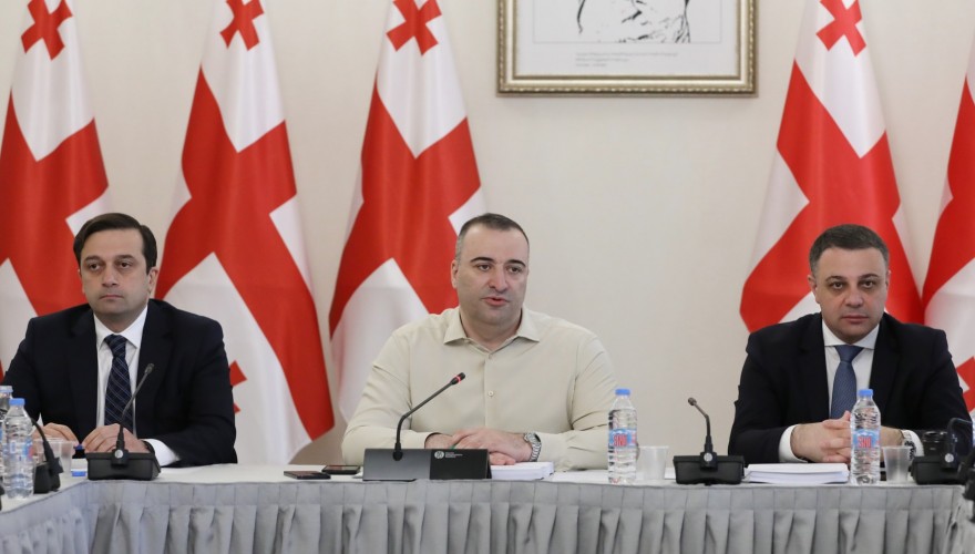 The Human Rights and Civil Integration Committee heard the Report of the Public Defender of Georgia On the Situation of Protection of Human Rights and Freedoms in Georgia for 2023