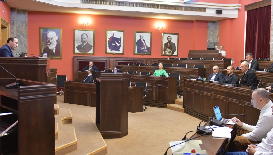 The Legal Issues Committee discussed the Draft Law on Amnesty on the I reading
