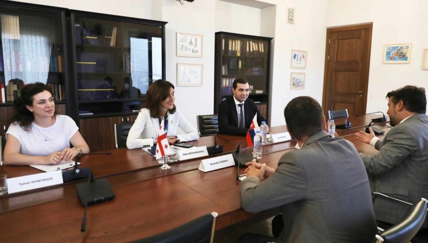 მაკა ბოჭორიშვილი სლოვაკეთის დელეგაციას შეხვდა