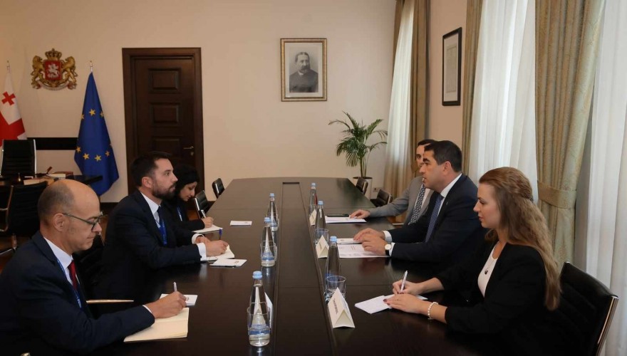Meeting of Shalva Papuashvili with the Head of the OSCE/ODIHR observation mission
