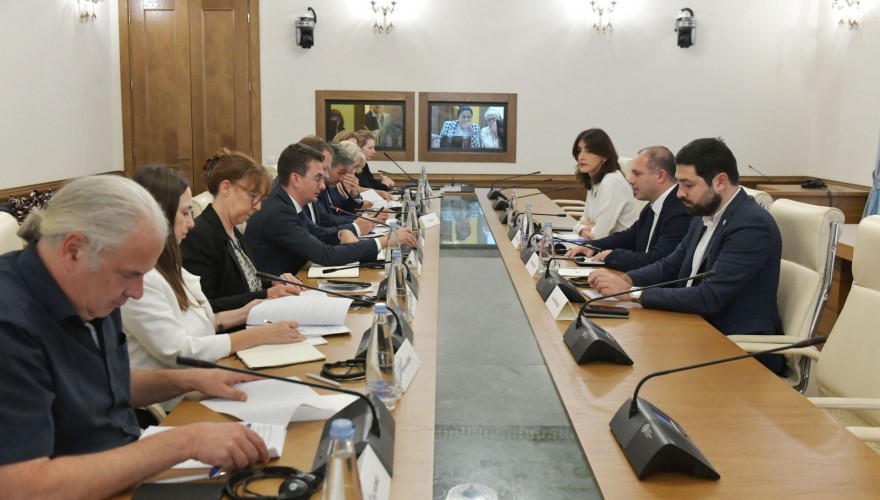 საპარლამენტო უმრავლესობის წარმომადგენლები ევროპის საბჭოს საპარლამენტო ასამბლეის წინასაარჩევნო სადამკვირვებლო მისიის წევრებს შეხვდნენ