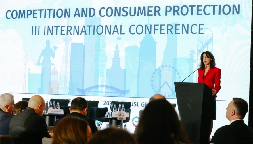 Maka Botchorishvili partaking in the Competition and Consumer Protection III International Conference