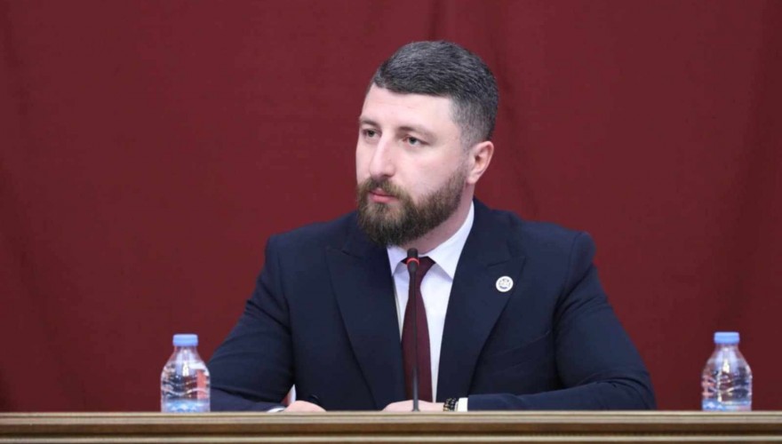 Election of Tornike Cheishvili as First Deputy Chair of Legal Issues Committee