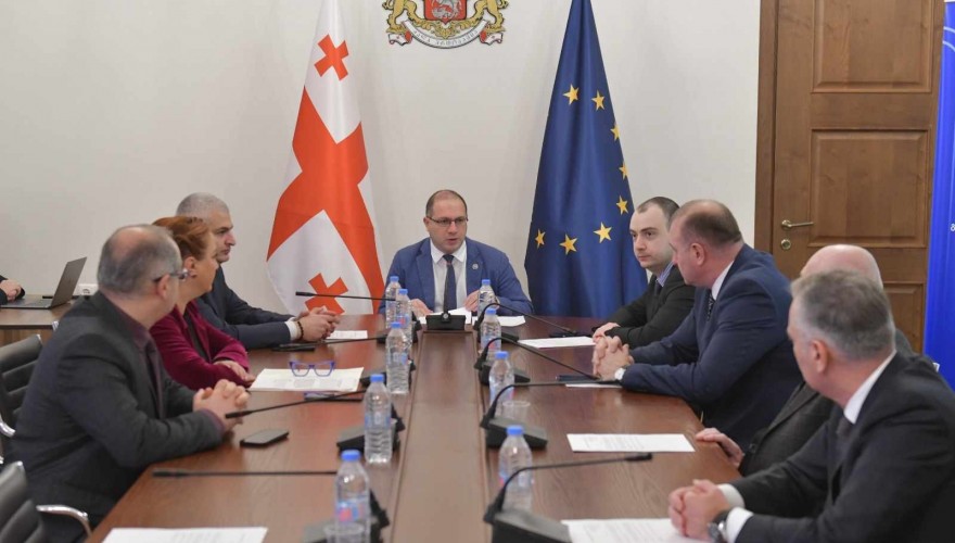 განათლების, მეცნიერებისა და ახალგაზრდულ საქმეთა კომიტეტის თავმჯდომარის მოადგილედ პაატა სალია აირჩიეს