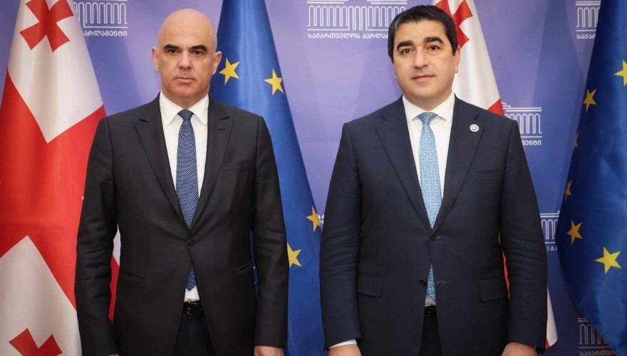 Meeting of Shalva Papuashvili with the Secretary General of the Council of Europe