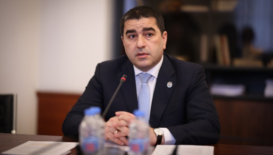 The Procedural Issues and Rules Committee approved the amendments developed by Shalva Papuashvili concerning the Council of Heraldry, the National Library and the Research Center