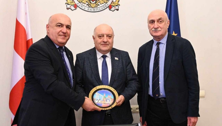 Meeting of Zaza Lominadze with the Chair of the Labour and Social Policy Committee of the Milli Majlis of Azerbaijan