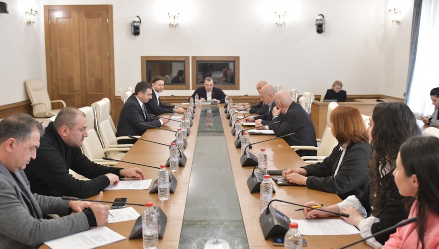 ადამიანის უფლებათა დაცვისა და სამოქალაქო ინტეგრაციის კომიტეტმა 2025 წლის სამოქმედო გეგმა დაამტკიცა
