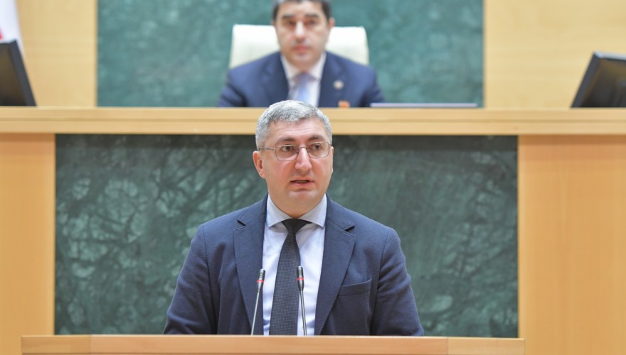 პარლამენტმა პროფესიული განათლების მხარდამჭერი დოკუმენტის რატიფიკაციას ერთხმად დაუჭირა მხარი