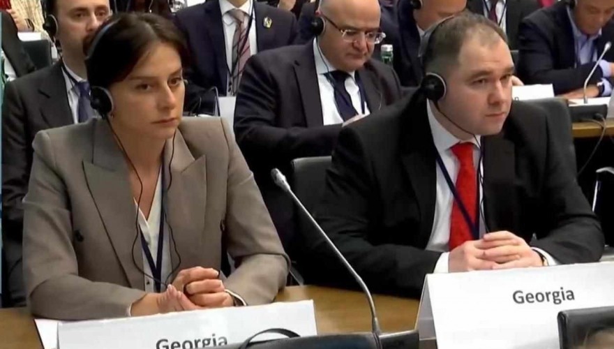 მაია ბითაძე ეუთო-ს საპარლამენტო ასამბლეის ზამთრის სესიაში იღებს მონაწილეობას