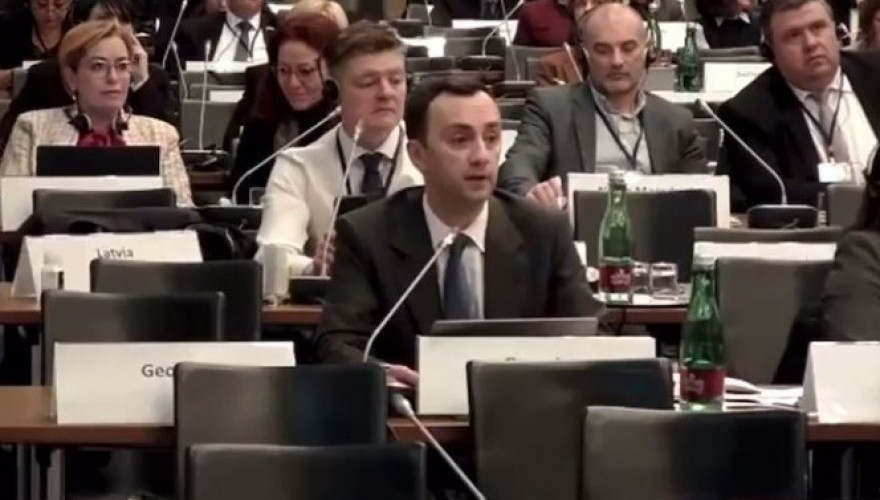 Levan Makhashvili addressing the OSCE Committee on Democracy, Human Rights and Humanitarian Questions