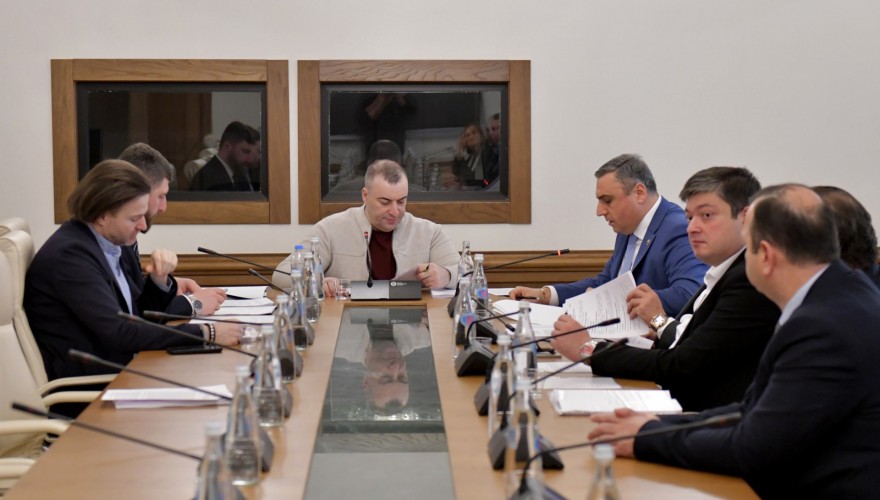 ადამიანის უფლებათა დაცვისა და სამოქალაქო ინტეგრაციის კომიტეტმა იურიდიული დახმარების სამსახურის 2024 წლის საქმიანობის ანგარიში მოისმინა