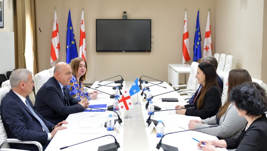 Zaza Lominadze and Irakli Kadagishvili Meet with UNICEF Regional Director