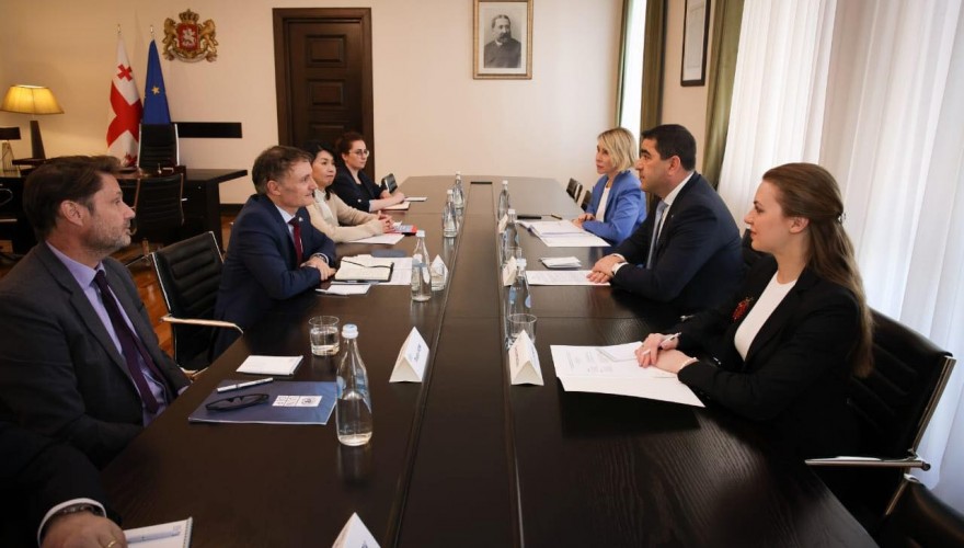 Shalva Papuashvili Meets with UN Resident Coordinator in Georgia