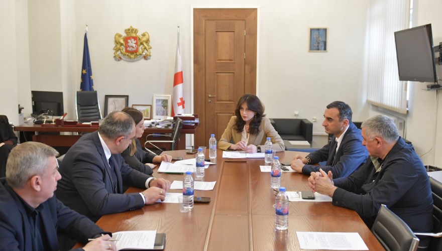 გარემოს დაცვისა და ბუნებრივი რესურსების კომიტეტმა „წიაღის შესახებ“ კანონში ცვლილების თაობაზე იმსჯელა
