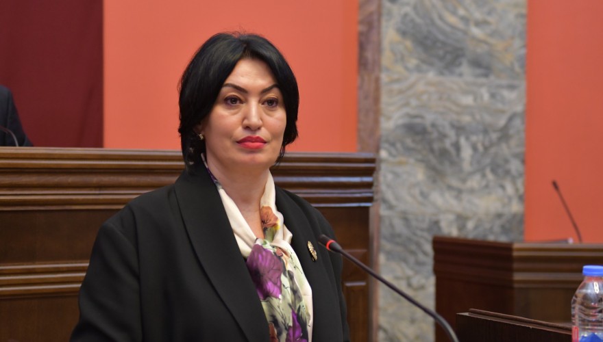 იურიდიულ საკითხთა კომიტეტმა სასიგნალო იარაღთან და მის ვაზნებთან დაკავშირებული საკანონმდებლო ცვლილება განიხილა
