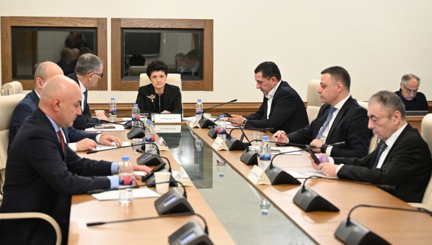 დროებითმა საგამოძიებო კომისიამ გიორგი გახარია გამოკითხა
