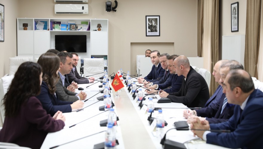 Irakli Zarkua Meets with Montenegro’s Minister of Diaspora Mirsad Azemović