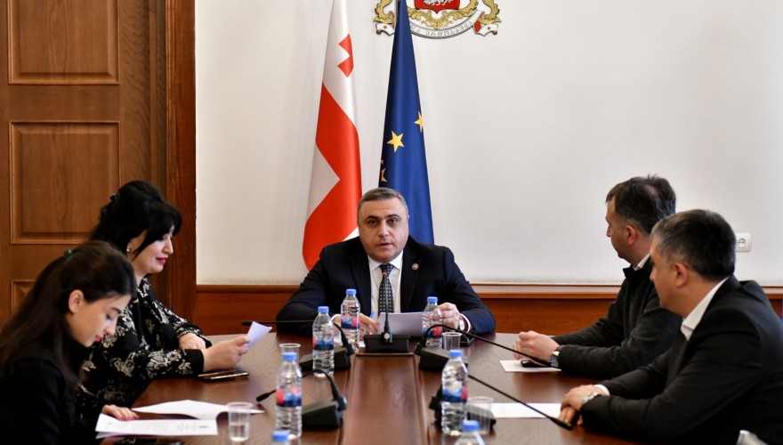 The Procedural Issues and Rules Committee deliberating on the credentials of the Power of MP for Ioseb Jorbenadze
