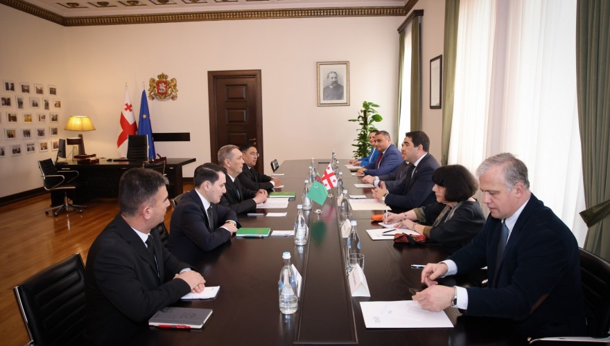 შალვა პაპუაშვილი თურქმენეთის მეჯლისის დელეგაციას შეხვდა