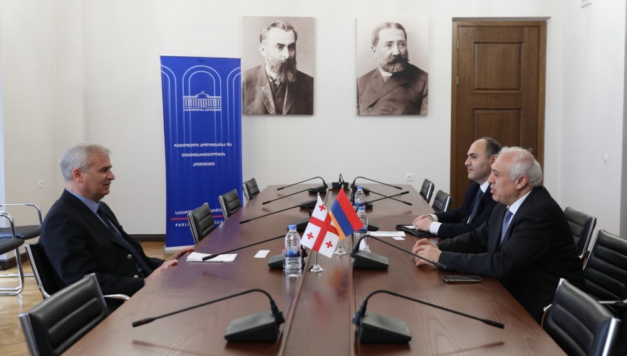 Meeting of Irakli Kadagishvili with the Ambassador of Armenia