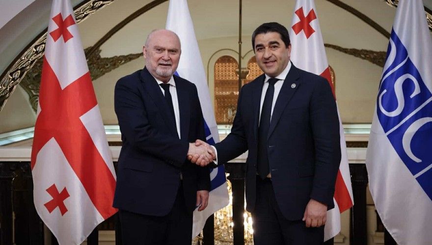 Meeting of Shalva Papuashvili with the OSCE Secretary General
