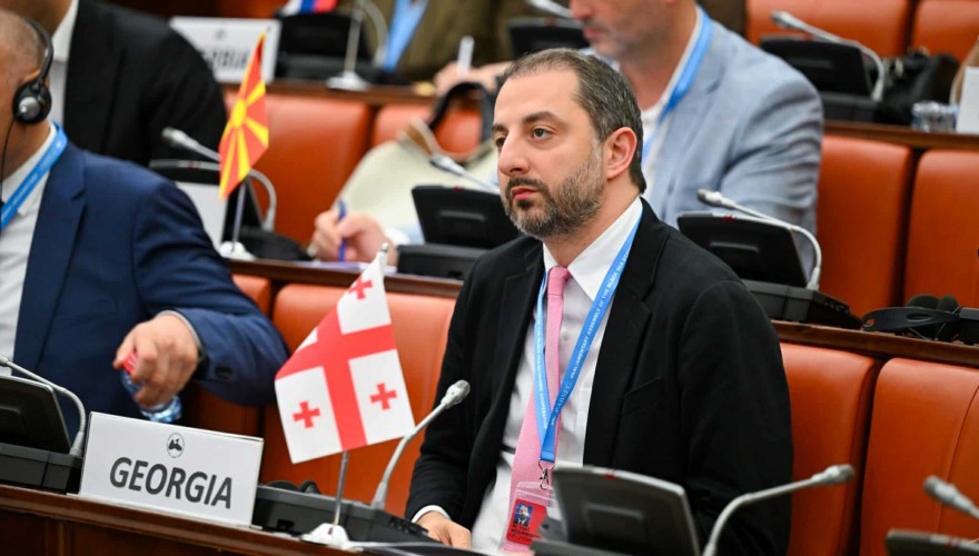 Irakli Mezurnishvili Participates in Legal Affairs and International Cooperation Committee Meeting of the Black Sea Economic Cooperation