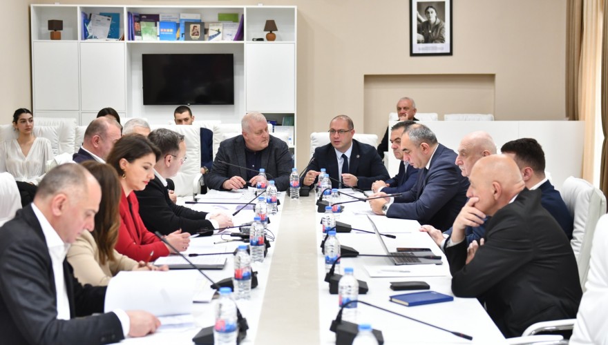კომიტეტების გაერთიანებულ სხდომაზე დასაქმების პოლიტიკის დაგეგმვისა და განხორციელების 2024 წლის ანგარიში მოისმინეს