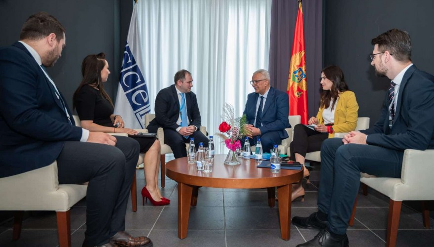ნიკოლოზ სამხარაძე მონტენეგროს პარლამენტის თავმჯდომარეს შეხვდა