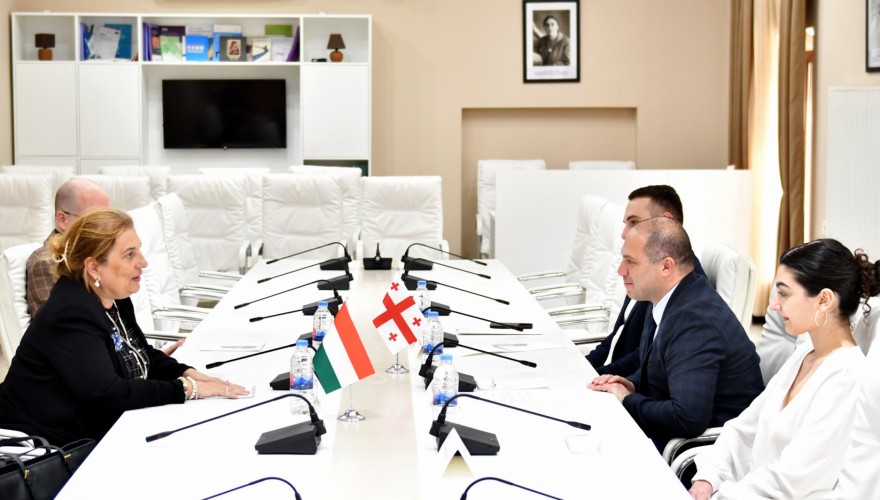 გივი მიქანაძე უნგრეთის ელჩს შეხვდა