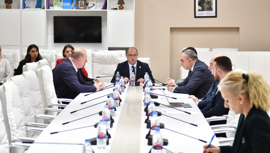 The Education, Science and Youth Affairs Committee to deliberate on the Draft Law on mandatory Georgian language courses for universities