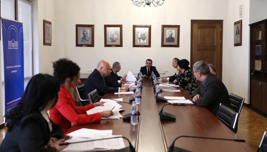 თავდაცვისა და უშიშროების კომიტეტმა „დიპლომატიური სამსახურის შესახებ“ კანონში ცვლილებები და სახელმწიფო ბიუჯეტის შესრულების 3 თვის ანგარიში განიხილა