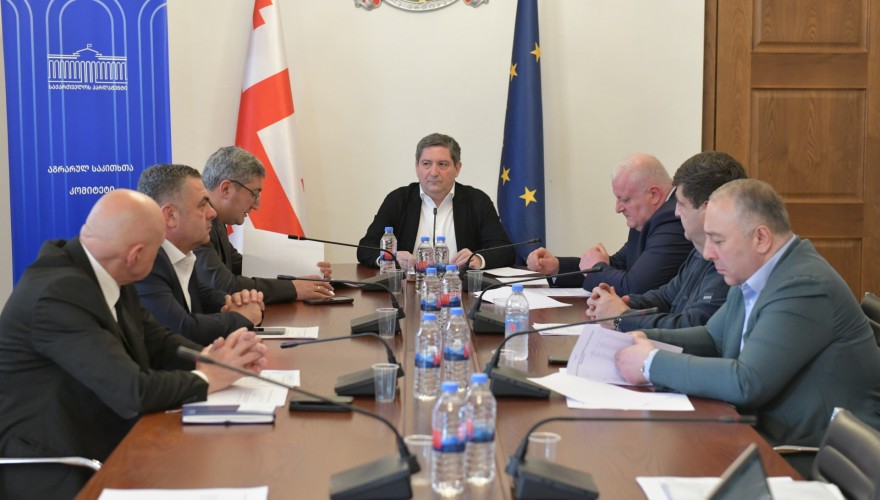 აგრარულ საკითხთა კომიტეტმა 2025 წლის სახელმწიფო ბიუჯეტის პირველი კვარტლის შესრულების შესახებ ინფორმაცია მოისმინა