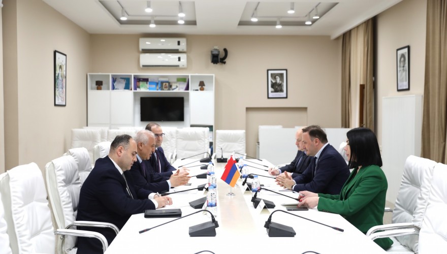 Irakli Zarkua Meets with Ambassador of Armenia