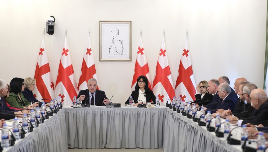 Tea Akhvlediani reporting to the Interim Commission on Restoration of Territorial Integrity and De-Occupation