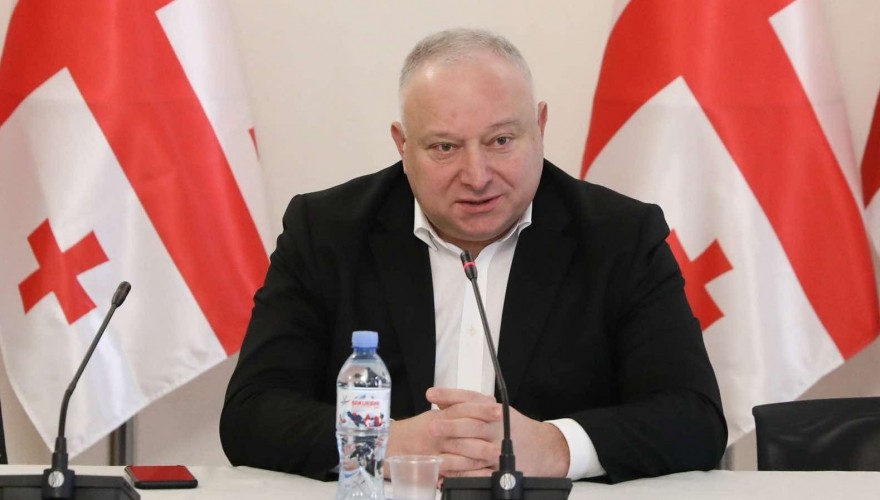 Paata Kvizhinadze: According to the key economic indicators, Georgia stands out as a successful nation among the European Union member states, candidate states, and other countries