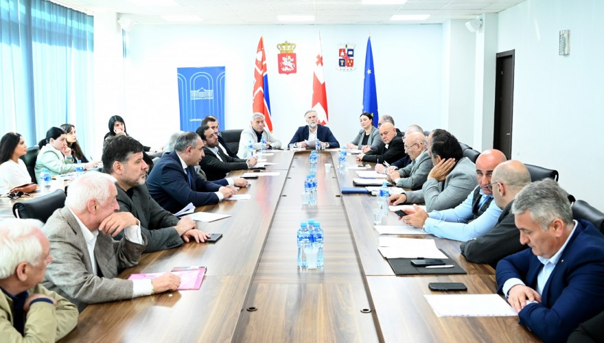 სპორტის კომიტეტმა გორის მუნიციპალიტეტში გასვლითი სხდომა გამართა