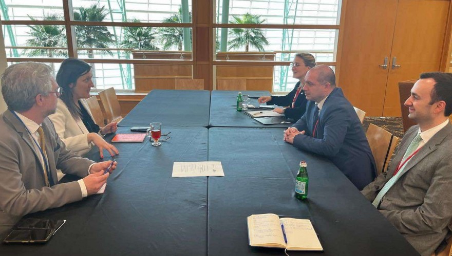 Georgian Parliamentary Delegation Meets with NATO Parliamentary Assembly Secretary General