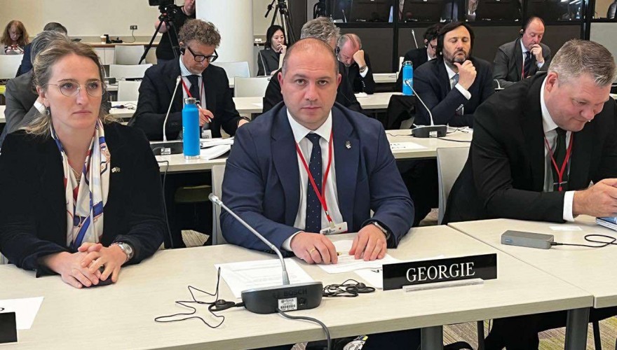 Parliamentary Delegation of Georgia partaking in the Economic Security Committee sitting within the NATO PA