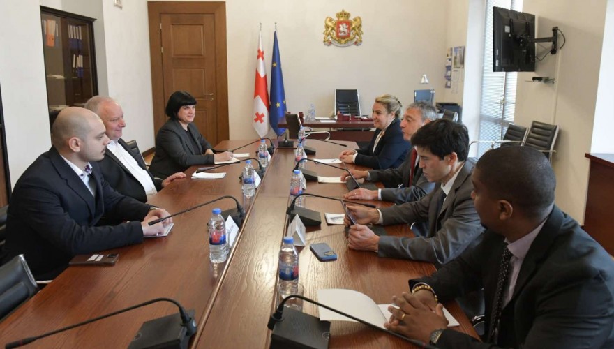 Paata Kvizhinadze Meets with IMF Mission Representatives