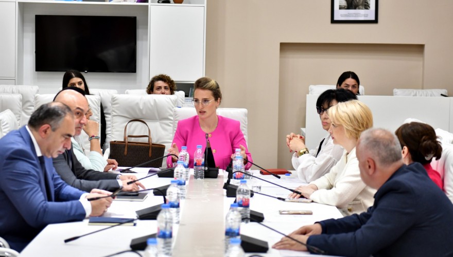 Steering sitting of the Interim Commission on Women and Children Affairs