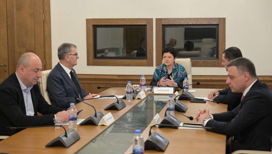 The Interim Fact-Finding Commission scrutinized the situation on the occupied territories before and after the August War of 2008 and the gross human rights violations
