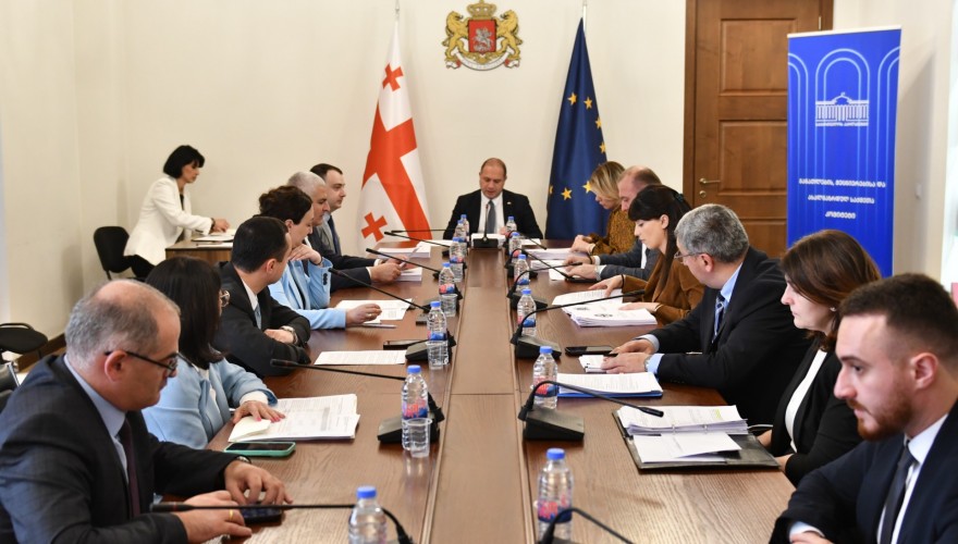 განათლების, მეცნიერებისა და ახალგაზრდულ საქმეთა კომიტეტმა 2024 წლის სახელმწიფო ბიუჯეტის შესრულების წლიური ანგარიში მოისმინა