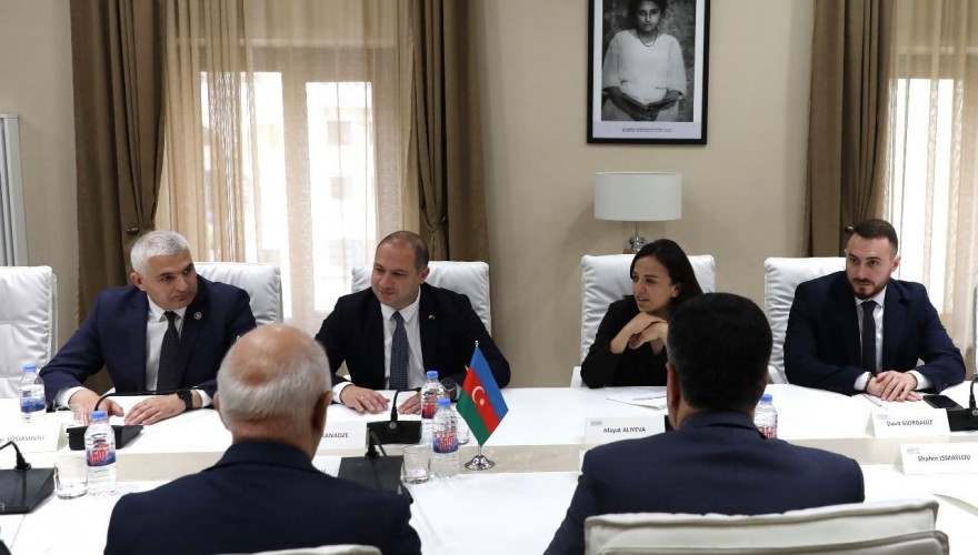 გივი მიქანაძე აზერბაიჯანის რესპუბლიკის საპარლამენტო დელეგაციის წევრებს შეხვდა