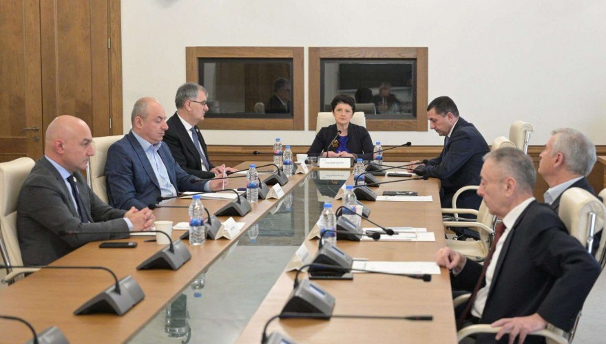 პარლამენტის დროებითმა საგამოძიებო კომისიამ საქართველოს უნივერსიტეტებში აკადემიური პერსონალის უფლებების შელახვის საკითხი განიხილა