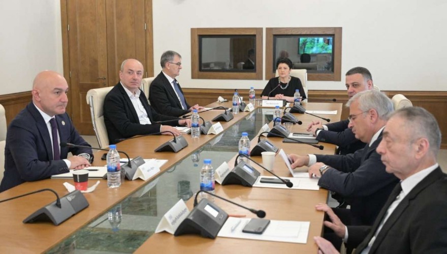 პარლამენტის დროებითმა საგამოძიებო კომისიამ ქონებრივი უფლებების ხელყოფისა და 2004-2012 წლებში წამებისა და არაადამიანური მოპყრობის ფაქტები განიხილა