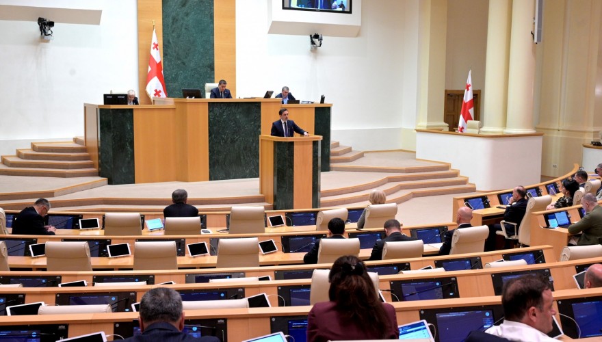 Parliament Hears Public Defender on State of Human Rights and Freedoms Protection in Georgia in 2024